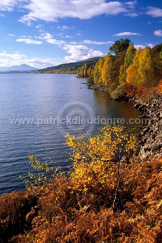 Loch Lochy, Highlands, Scotland - Loch Lochy, Ecosse 16257