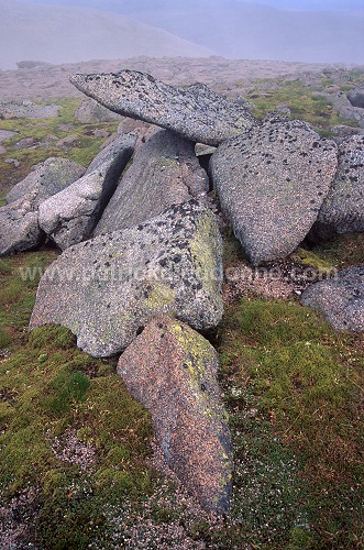 Cairn Gorm summit, Grampians, Scotland - Ecosse - 18838