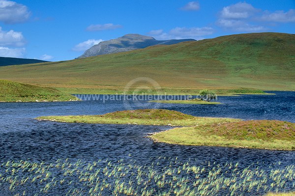 Loch Meadie, Sutherland, Scotland -  Ecosse - 18844