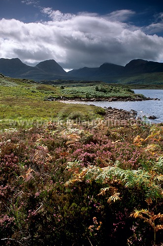 Inverpolly Nature reserve, loch Sionascaig, Scotland -  18867