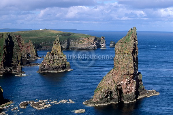 Duncansby Head, Caithness, Scotland - Ecosse - 18877