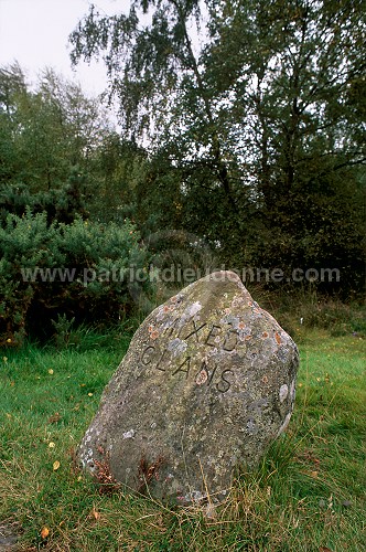 Culloden battlefield: Headstone, Scotland - Ecosse - 18891