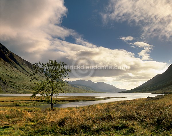 Loch etive, Highlands, Scotland - Loch Etive, Ecosse - 15825