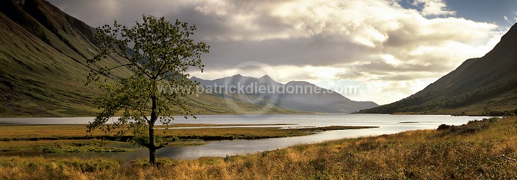 Loch etive, Highlands, Scotland - Loch Etive, Ecosse - 15826