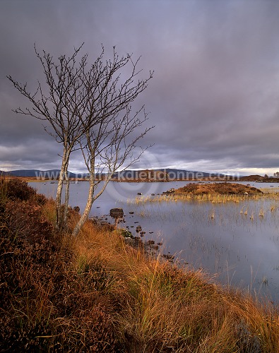 Rannoch moor, Highlands, Scotland - Rannoch moor, Ecosse - 15834