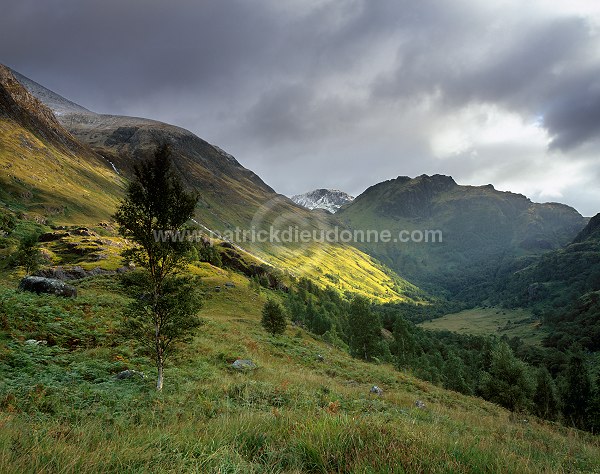 Glen Nevis, Highlands, Scotland - Glen Nevis, Ecosse - 15844