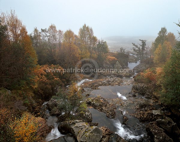 River in autumn, Highlands, Scotland - Rivière en automne, Highlands, Ecosse  15845