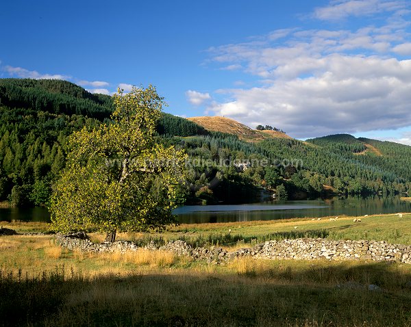 Loch Tummel, Perthshire, Scotland - Loch Tummel, Ecosse   15851