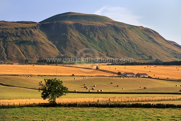 Ochill Hills, Central Scotland - Ochill Hills, Ecosse - 15997