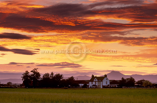 Farmland at sunset, Stirling, Scotland - Ecosse - 16005