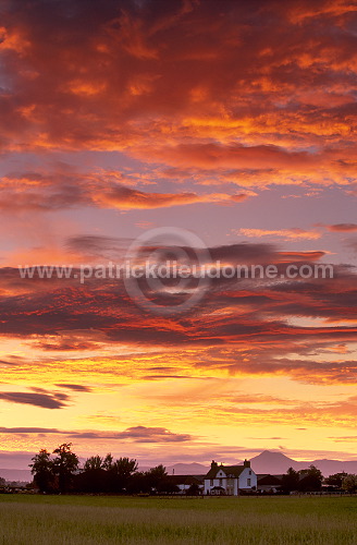 Farmland at sunset, Stirling, Scotland - Ecosse - 16006