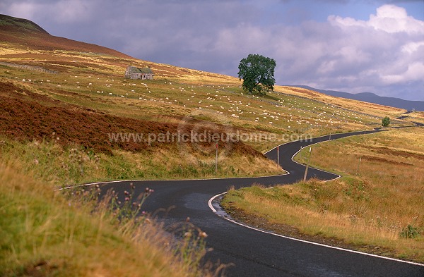 Winding road, Perthshire, Scotland - Perthshire, Ecosse - 16024