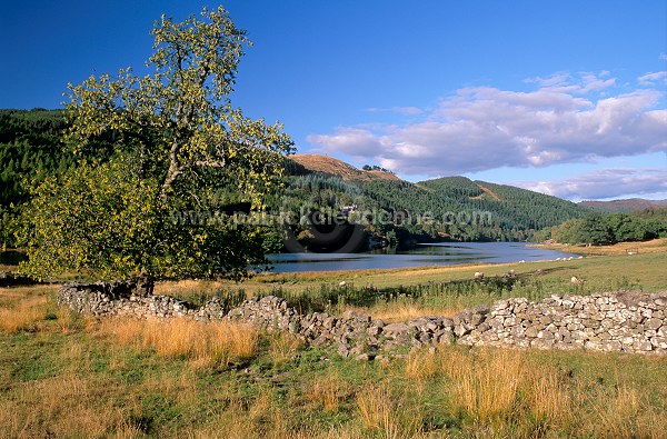 Loch Tummel, Scotland  -  loch Tummel, Ecosse -  16026