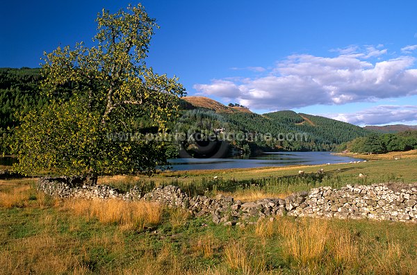 Loch Tummel, Perthshire, Scotland - Ecosse  16268