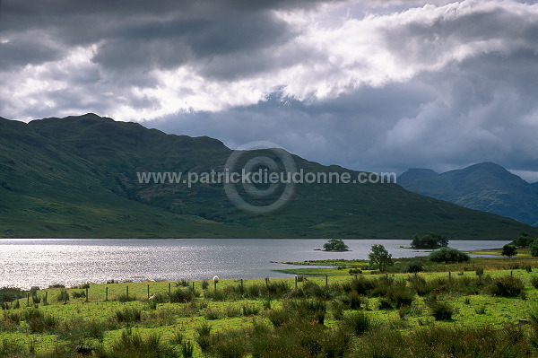 Trossachs, loch Arklet, Scotland - Trossachs, Ecosse -  18880