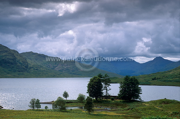 Trossachs, loch Arklet, Scotland - Trossachs, Ecosse - 18881