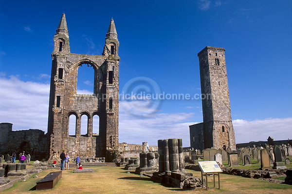St Andrews Cathedral, Scotland - St Andrews, Ecosse  - 19173