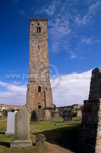 St Andrews Cathedral, Scotland - St Andrews, Ecosse  - 19174