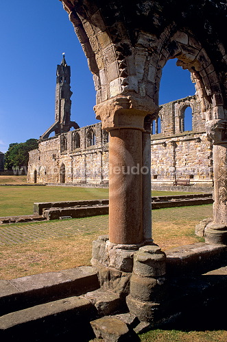 St Andrews Cathedral, Scotland - St Andrews, Ecosse  - 19178