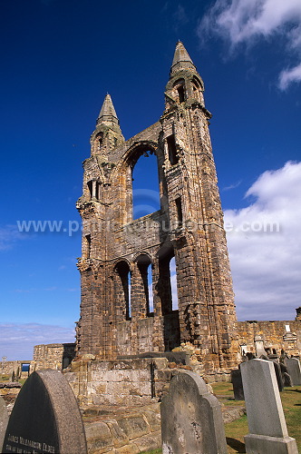 St Andrews Cathedral, Scotland - St Andrews, Ecosse  - 19179