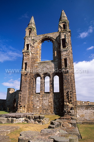 St Andrews Cathedral, Scotland - St Andrews, Ecosse  - 19180