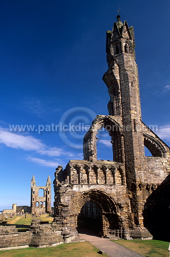 St Andrews Cathedral, Scotland - St Andrews, Ecosse  - 19183