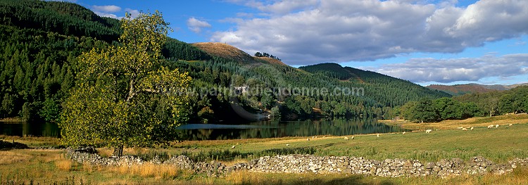 Loch Tummel, Perthshire, Scotland - Loch Tummel, Ecosse   15852