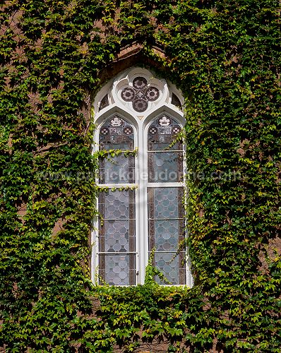 Scone Palace, Scone, Perthshire, Scotland - Ecosse - 19248