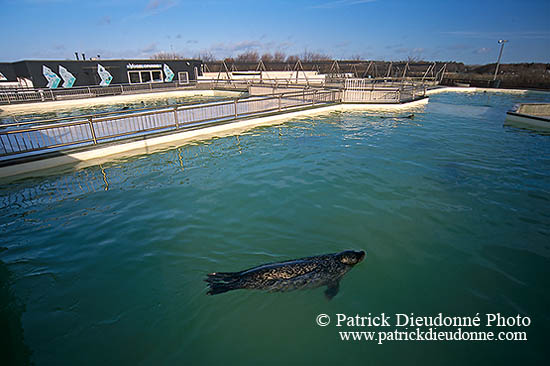 Centre Ecomare, Texel, Hollande - Ecomare Centre - 16922