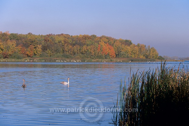 Lac de Madine, Meuse, France - FME185