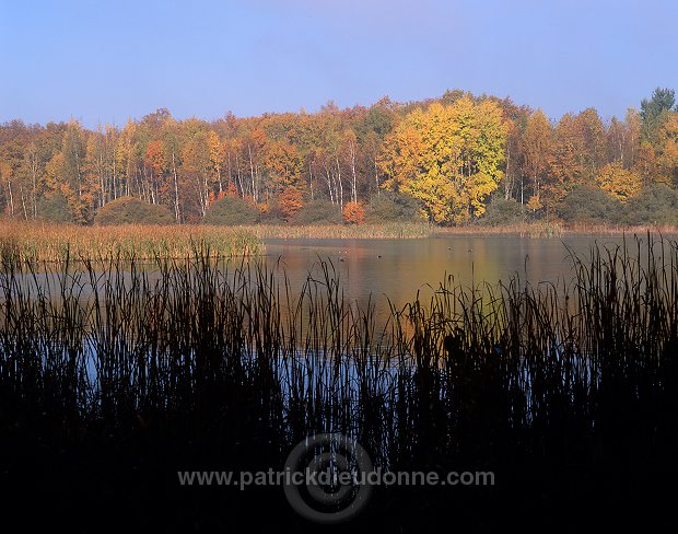 Lac de Madine, Meuse (55), France - FME144