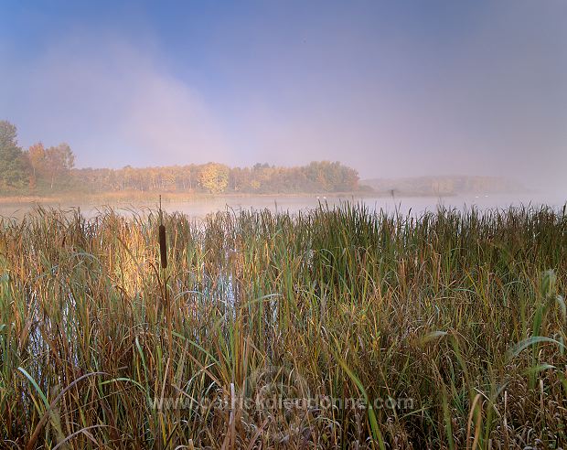 Lac de Madine, Meuse (55), France - FME145