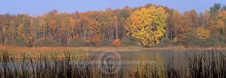 Lac de Madine, Meuse, Lorraine, France - FME171