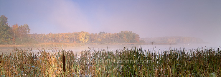 Lac de Madine, Meuse, Lorraine, France - FME172