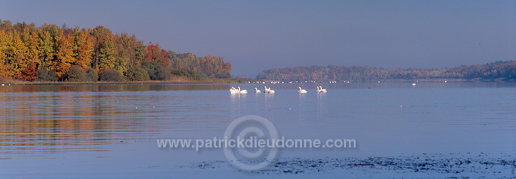 Lac de Madine, Meuse, Lorraine, France - FME173