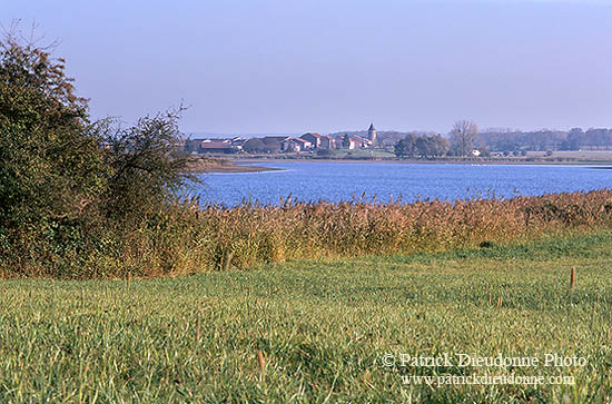 Etang de Lindre, Moselle, France - 17190