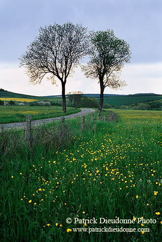 Campagne, Lorraine, France - 17088