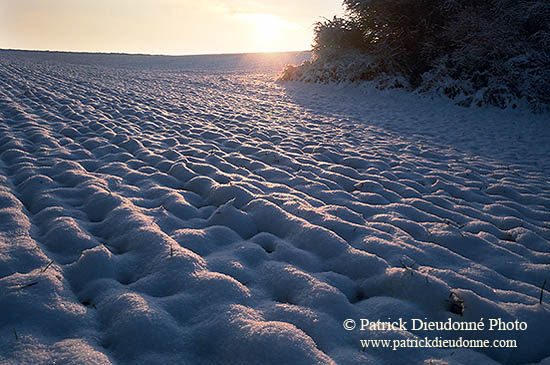 Matin de neige, vallée Moselle, Lorraine, France - 17092