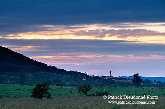 Couchant dans la campagne lorraine, France - 17100