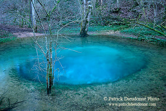 Resurgence de l'Arrot, vallon de la Deuille, Lorraine, France - 17102