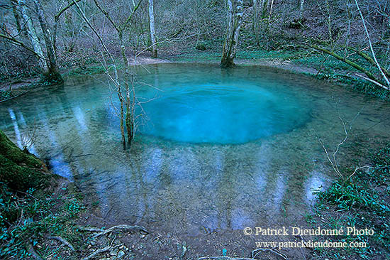 Resurgence de l'Arrot, vallon de la Deuille, Lorraine, France - 17103