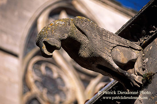 Cathédrale de Toul, gargouille, Lorraine, France - 17112