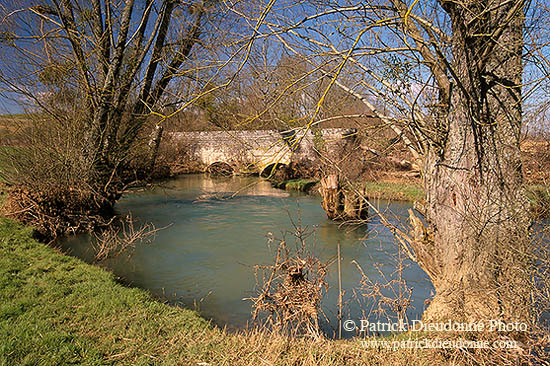 Ruisseau des Bouvades, près de Toul, Lorraine, France - 17113