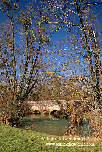 Ruisseau des Bouvades, près de Toul, Lorraine, France - 17115