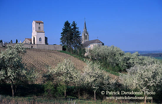 Eglise et vergers à Bruley près de Toul, Lorraine, France - 17117