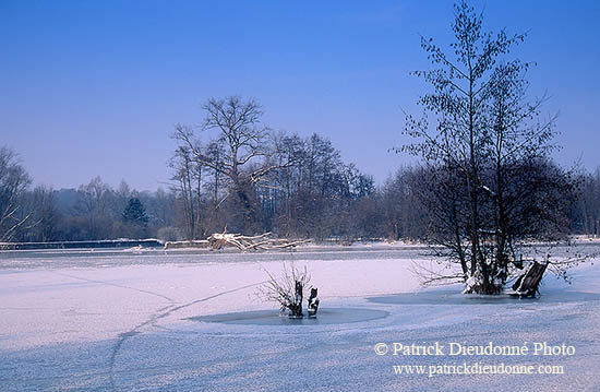 La Moselle prise par les glaces en hiver, près de Toul, France - 17128