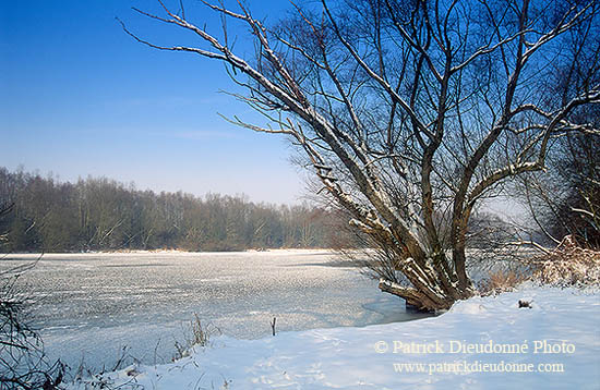 La Moselle prise par les glaces en hiver, près de Toul, France - 17130