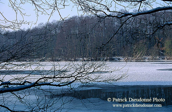 La Moselle prise par les glaces en hiver, près de Toul, France - 17133