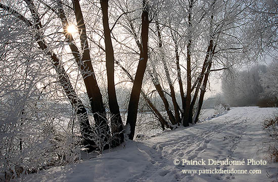 Paysage d'hiver, vallée de la Moselle, France - 17135