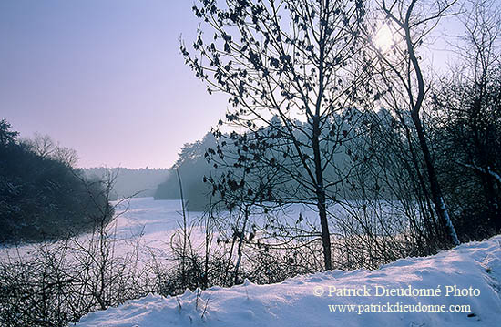 Paysage d'hiver, vallée de la Moselle, France - 17138